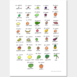 Baby size chart - fruit and veg Posters and Art